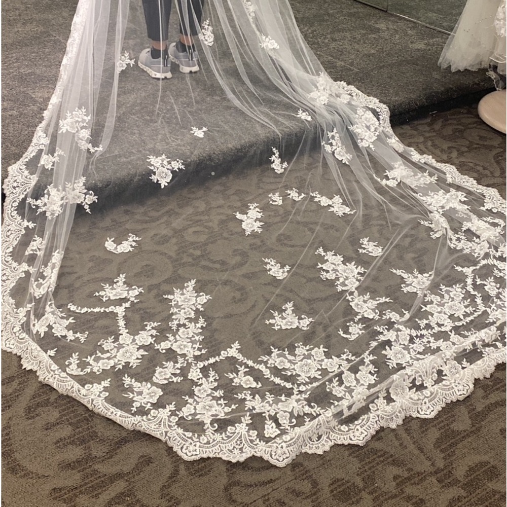 Beautiful Cathedral Length Mantilla Veil Delicate Lace Sequins